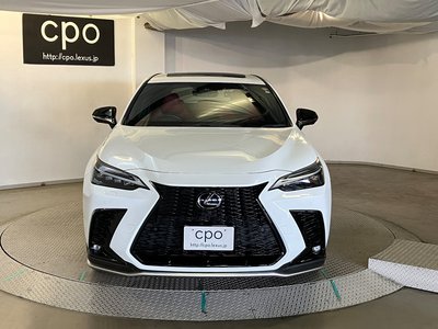 LEXUS NX - 6