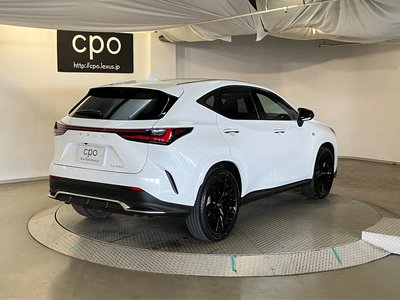 LEXUS NX - 10