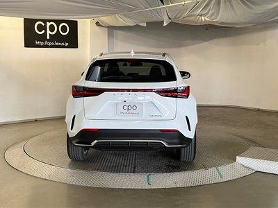 LEXUS NX - 8
