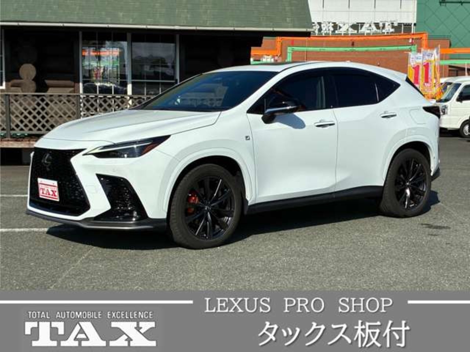 LEXUS NX - View 1