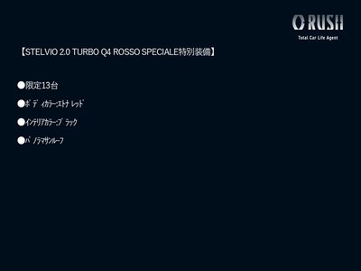 ALFA ROMEO STELVIO - 2