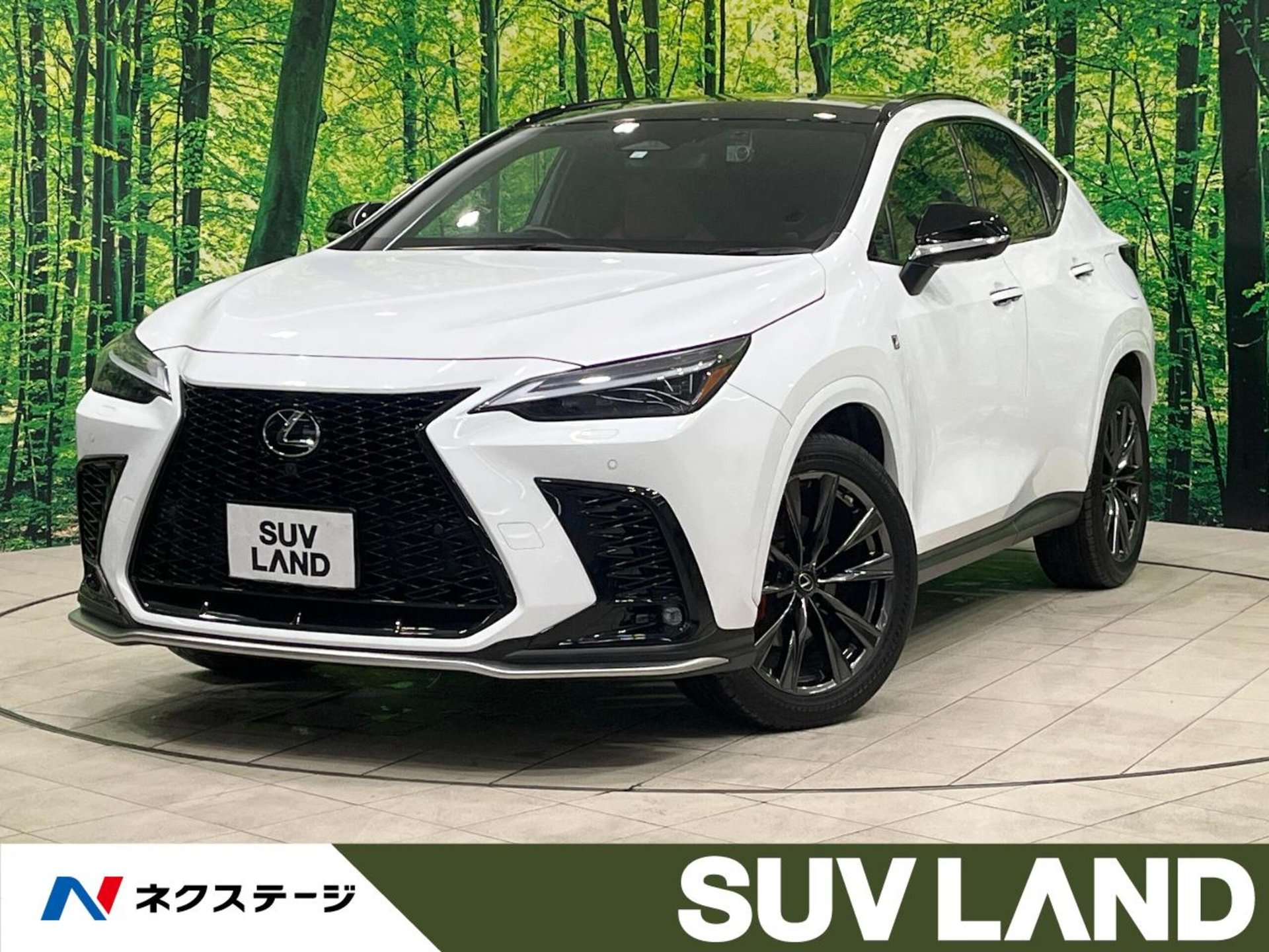 LEXUS NX - View 1