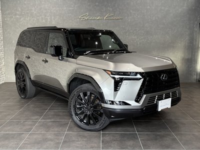 2025 Lexus GX photo 3