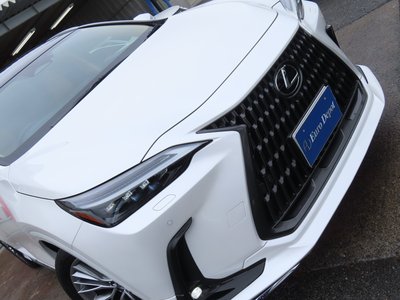 2023 Lexus NX — миниатюра 31
