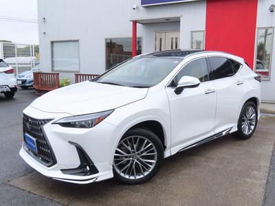 2023 Lexus NX — миниатюра 27