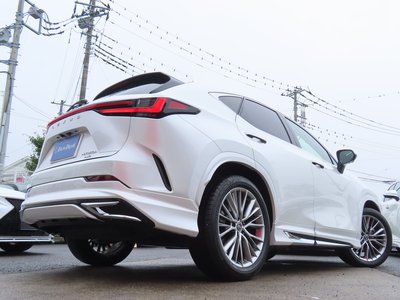 2023 Lexus NX — миниатюра 36
