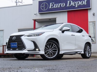 2023 Lexus NX — миниатюра 21