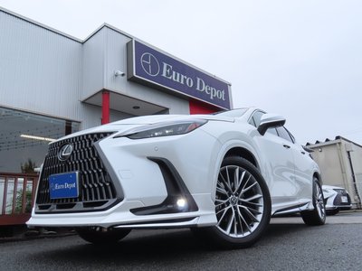 2023 Lexus NX — миниатюра 23