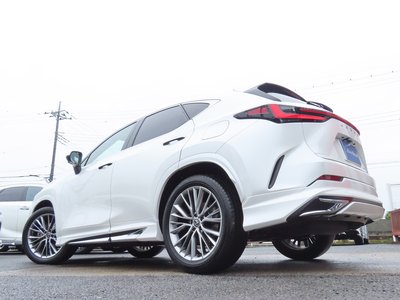 2023 Lexus NX — миниатюра 44