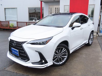 2023 Lexus NX — миниатюра 28
