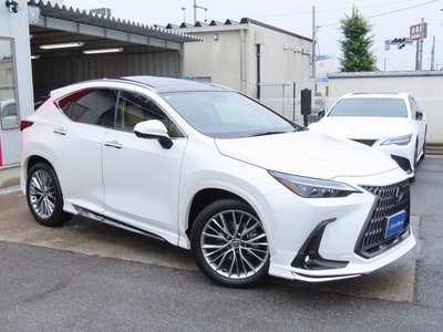 2023 Lexus NX — миниатюра 29