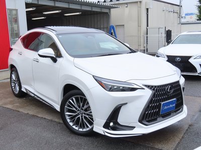 2023 Lexus NX — миниатюра 83