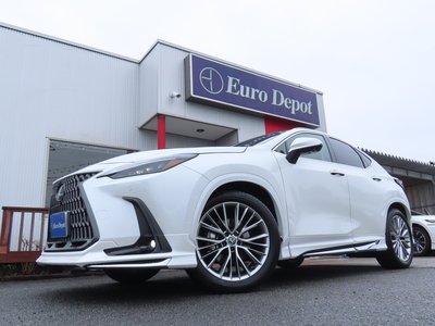 2023 Lexus NX — миниатюра 22