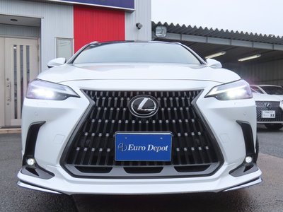2023 Lexus NX — миниатюра 32