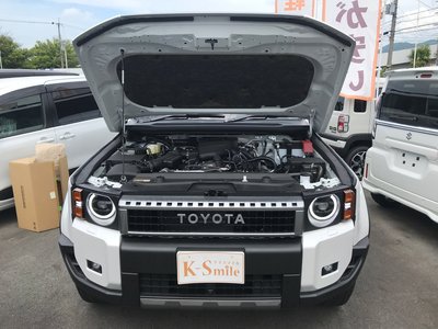 2026 Toyota LAND CRUISER 250 thumbnail 57