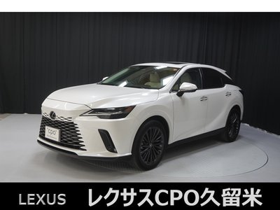 LEXUS RX - 1