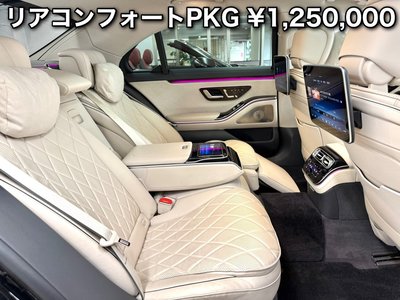 2021 Mercedes-BENZ S-CLASS — миниатюра 38