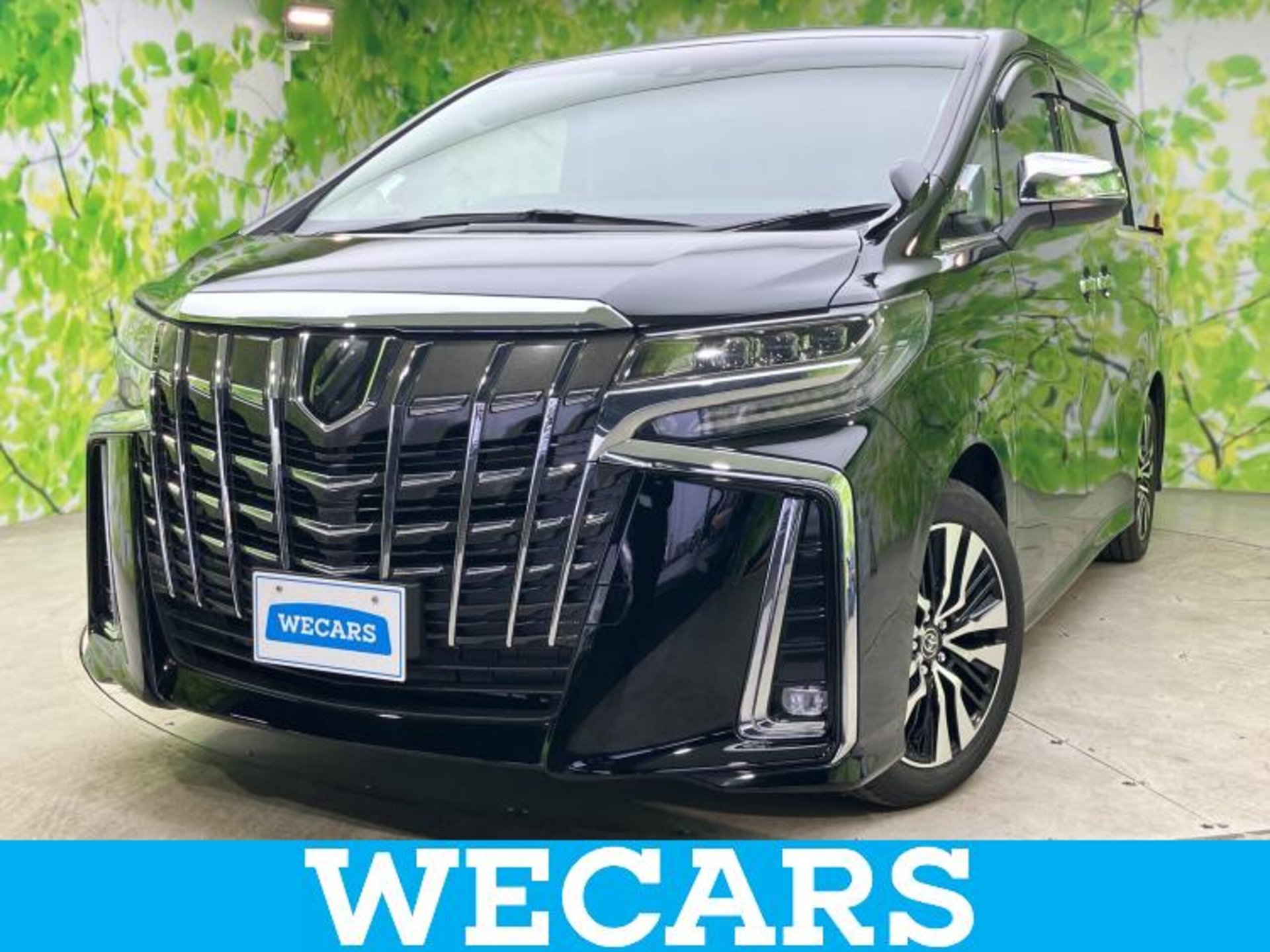 TOYOTA ALPHARD - View 1