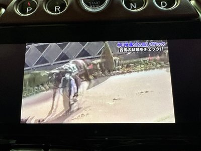 ASTON MARTIN DBX - 9