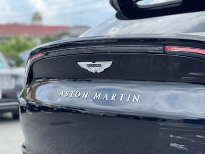 2021 Aston Martin DBX 照片 11