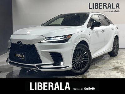 LEXUS RX - 2