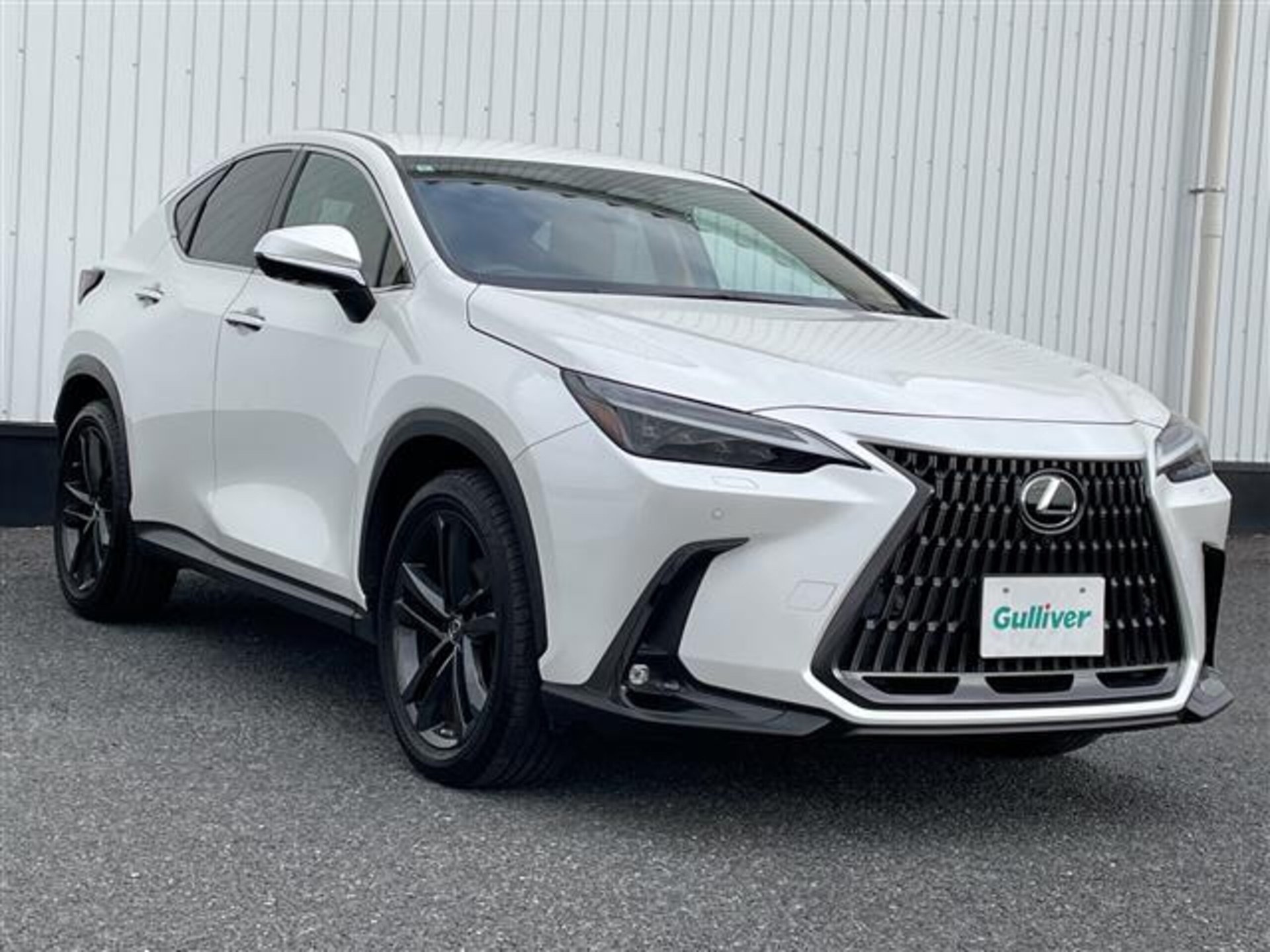 LEXUS NX - View 1