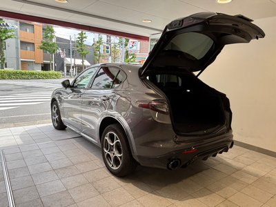 2025 ALFA Romeo STELVIO 缩略图 38