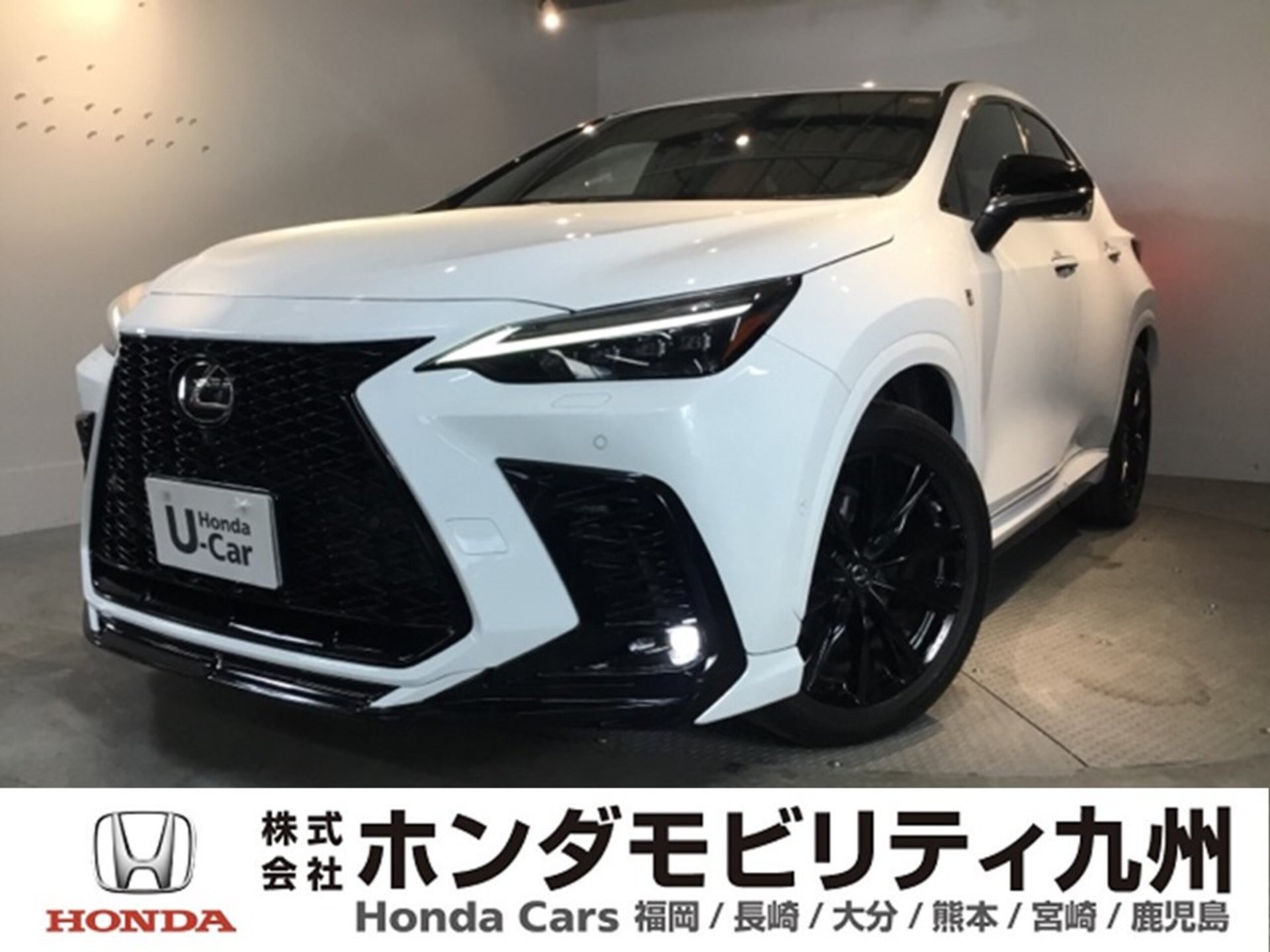 LEXUS NX - View 1