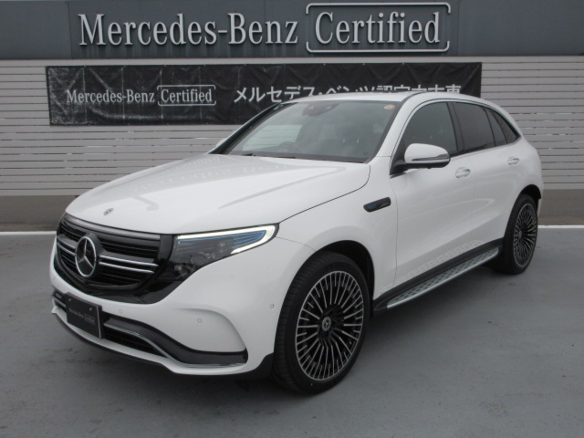 MERCEDES-BENZ EQC - View 1