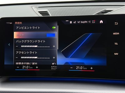 صورة مصغرة 35 لـ 2023 BMW X1