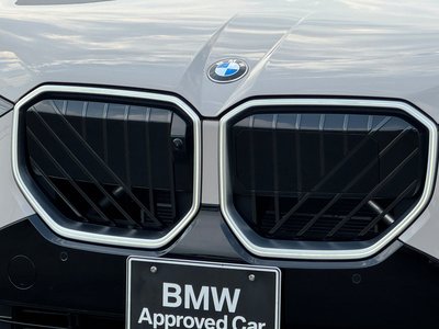 2025 BMW X3 thumbnail 11