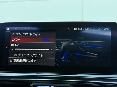 2019 BMW 8 SERIES GRAN COUPE — миниатюра 38