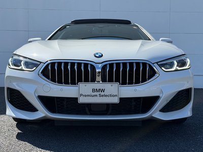 2019 BMW 8 SERIES GRAN COUPE — миниатюра 54