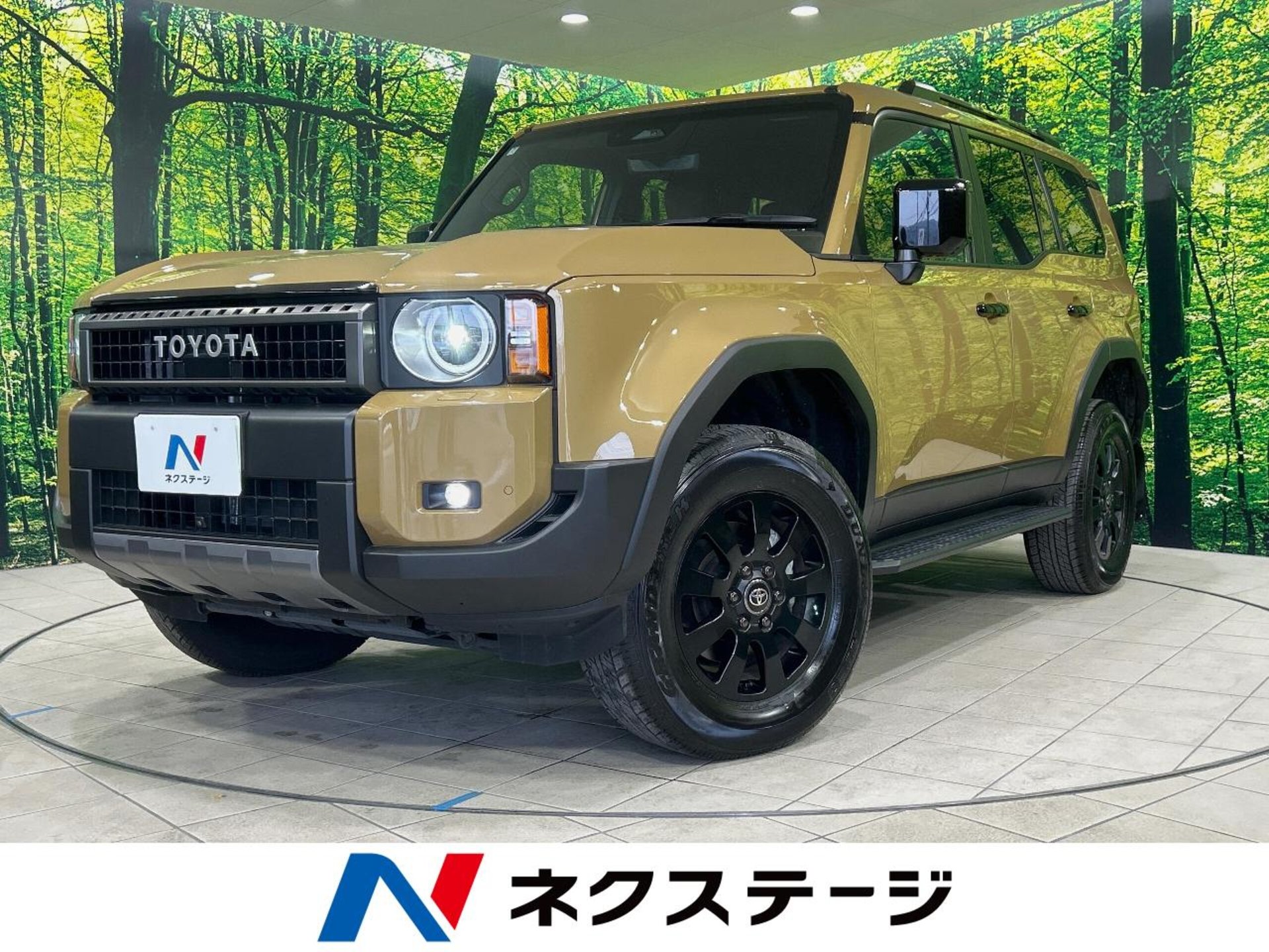 TOYOTA LAND CRUISER 250 - View 1
