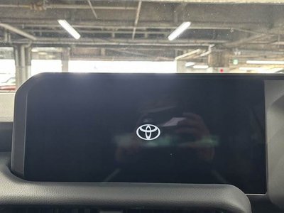 TOYOTA LAND CRUISER 250 - 3