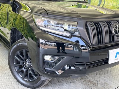 2023 Toyota LAND CRUISER PRADO 缩略图 14