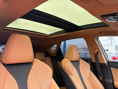 2025 Lexus NX — миниатюра 11