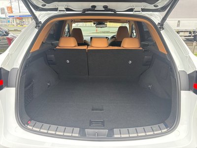 2025 Lexus NX — миниатюра 39