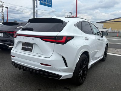 2025 Lexus NX — миниатюра 36