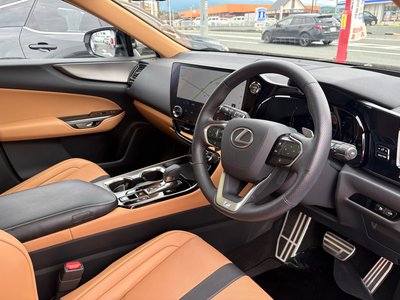 2025 Lexus NX — миниатюра 13