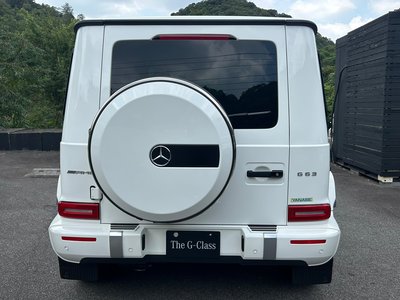 2019 Mercedes-BENZ G-CLASS 缩略图 31