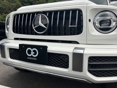 2019 Mercedes-BENZ G-CLASS 缩略图 25