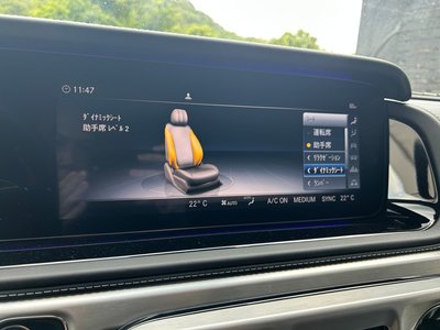 2019 Mercedes-BENZ G-CLASS 缩略图 17