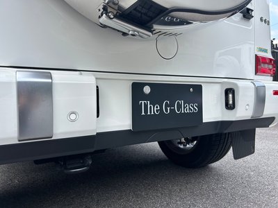 2019 Mercedes-BENZ G-CLASS 缩略图 64