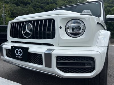 2019 Mercedes-BENZ G-CLASS 缩略图 55