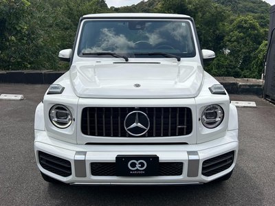 2019 Mercedes-BENZ G-CLASS 缩略图 29