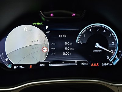 GENESIS GV80 - 8