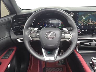 2024 Lexus RX 缩略图 18