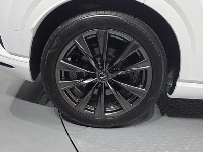 2024 Lexus RX 照片 6