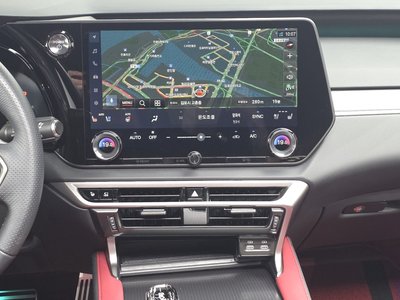 2024 Lexus RX 缩略图 19